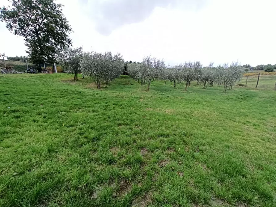 Immagine 1 di Terreno in vendita  a Castiglione Del Lago