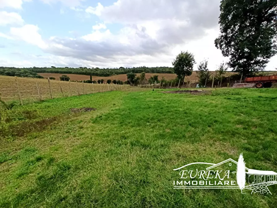 Immagine 2 di Terreno in vendita  a Castiglione Del Lago