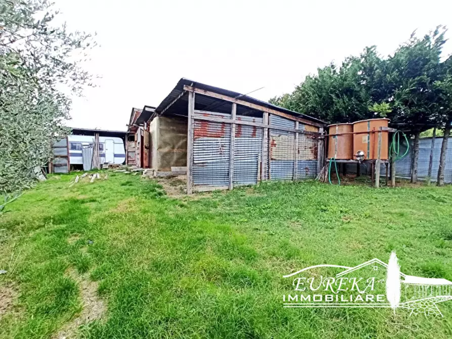 Immagine 4 di Terreno in vendita  a Castiglione Del Lago