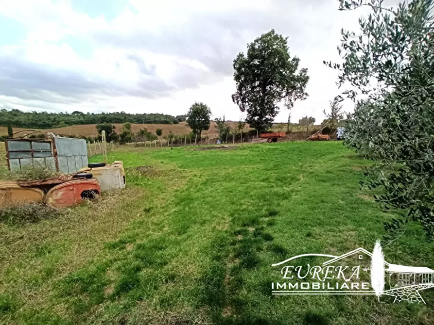 Immagine 5 di Terreno in vendita  a Castiglione Del Lago