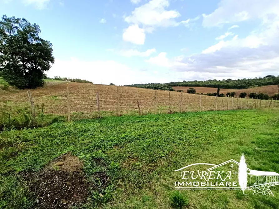 Immagine 9 di Terreno in vendita  a Castiglione Del Lago