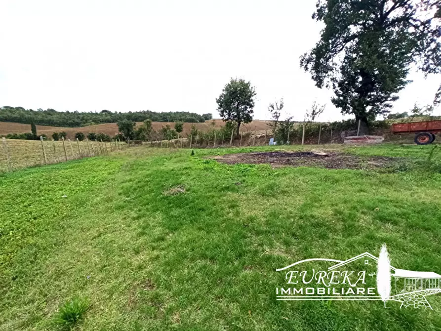 Immagine 10 di Terreno in vendita  a Castiglione Del Lago