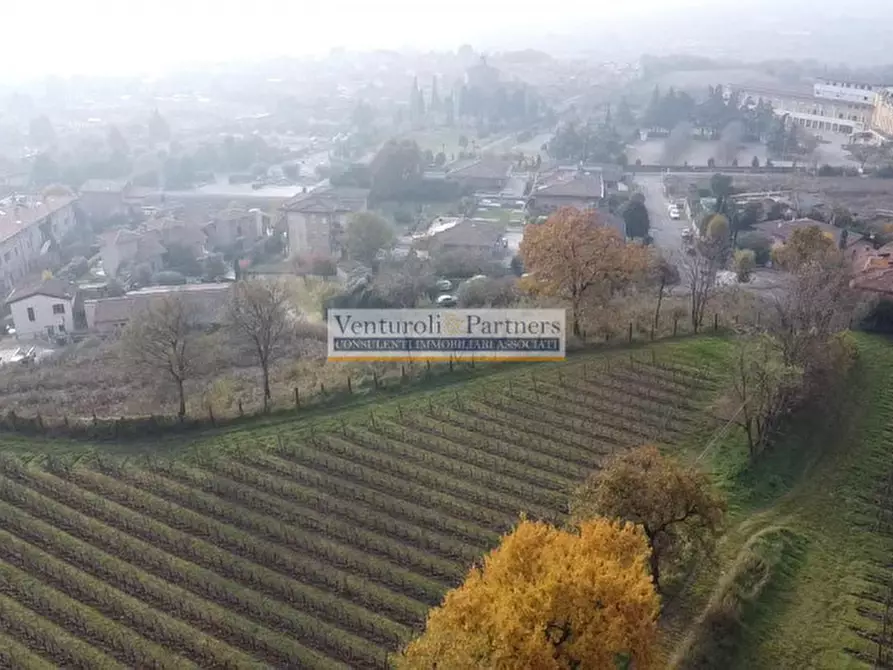 Immagine 4 di Terreno in vendita  in Lonato via San Zeno a Lonato del Garda