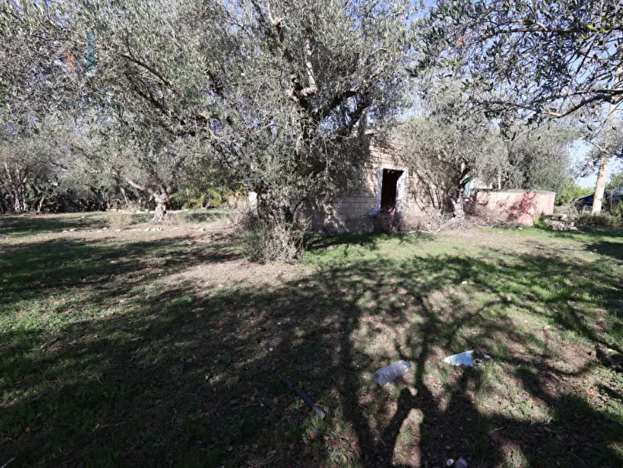 Immagine 4 di Terreno in vendita  in c.da Costa snc a Palagonia