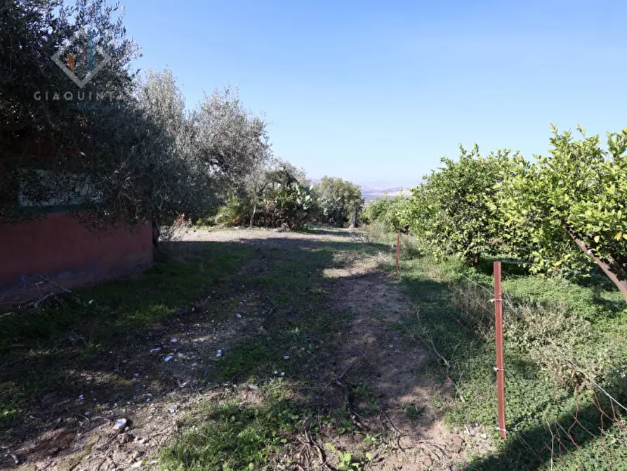 Immagine 6 di Terreno in vendita  in c.da Costa snc a Palagonia