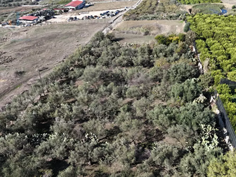 Immagine 7 di Terreno in vendita  in c.da Costa snc a Palagonia