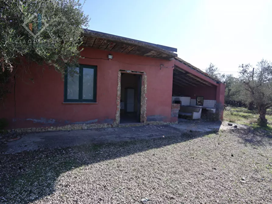 Immagine 8 di Terreno in vendita  in c.da Costa snc a Palagonia