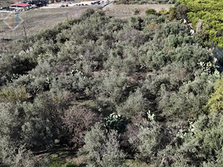 Immagine 9 di Terreno in vendita  in c.da Costa snc a Palagonia