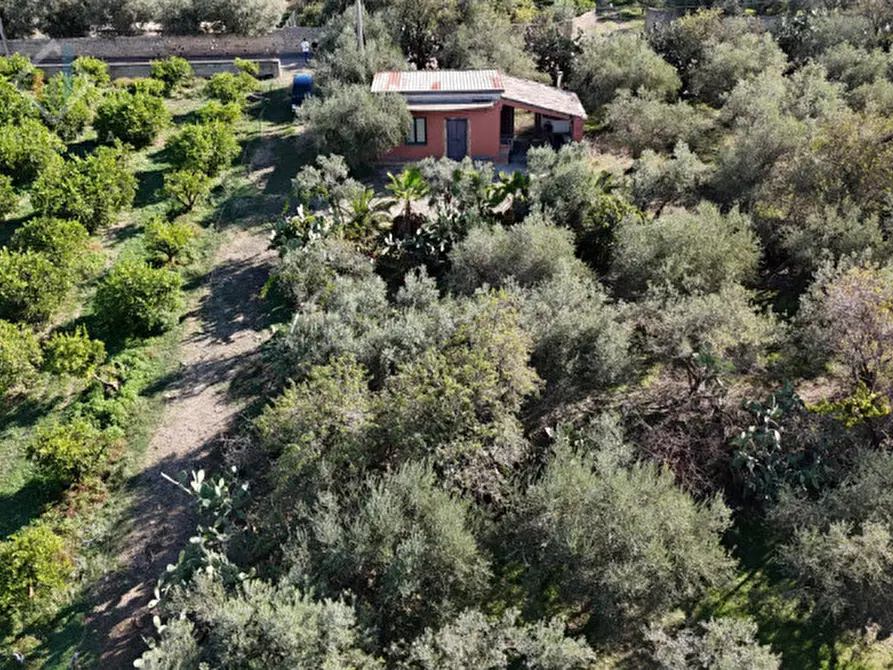 Immagine 10 di Terreno in vendita  in c.da Costa snc a Palagonia