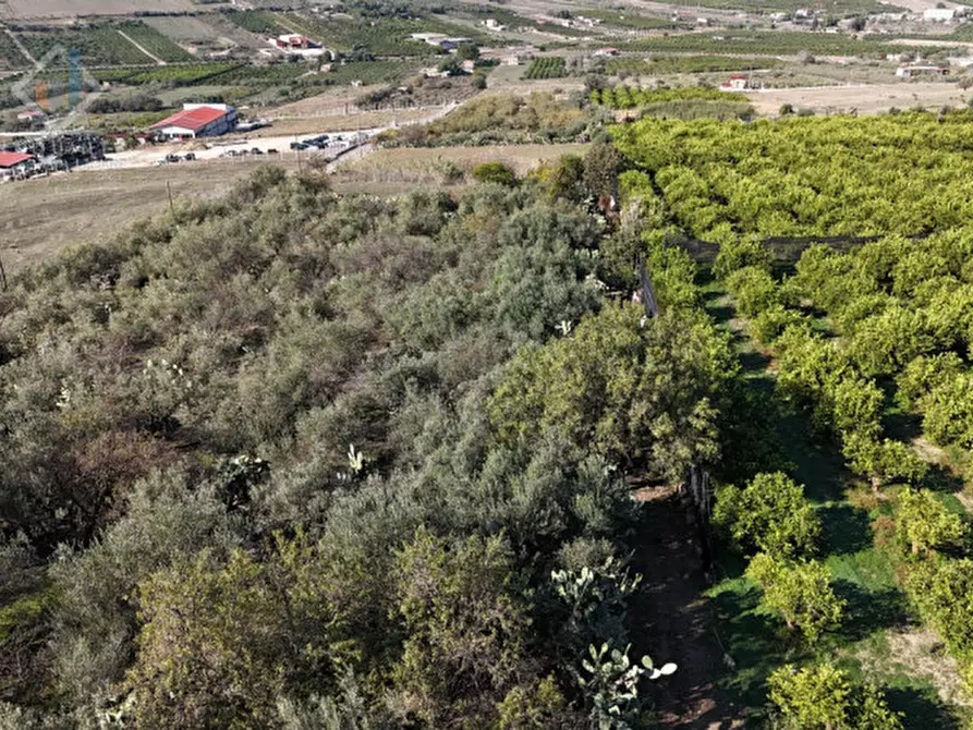 Immagine 11 di Terreno in vendita  in c.da Costa snc a Palagonia