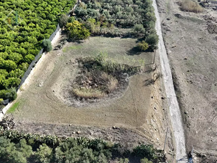 Immagine 12 di Terreno in vendita  in c.da Costa snc a Palagonia