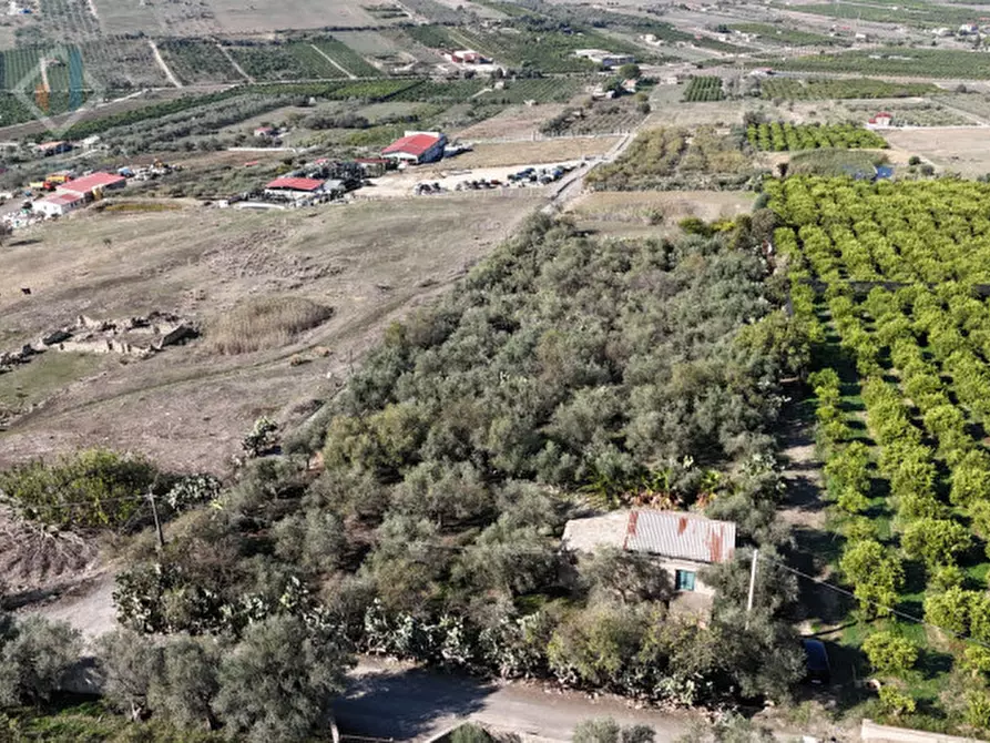 Immagine 15 di Terreno in vendita  in c.da Costa snc a Palagonia