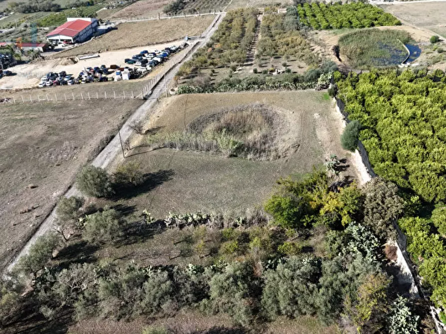 Immagine 18 di Terreno in vendita  in c.da Costa snc a Palagonia