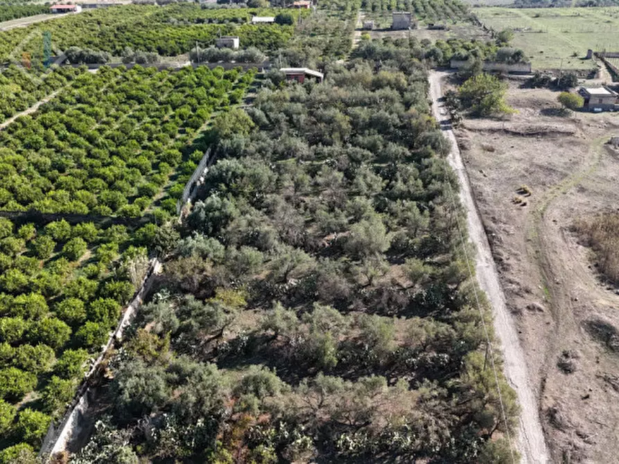 Immagine 19 di Terreno in vendita  in c.da Costa snc a Palagonia