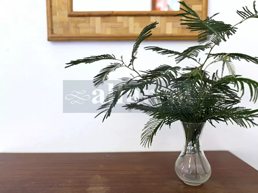 Immagine 29 di Casa bifamiliare in vendita  in Via del Fontino a Castiglione Della Pescaia