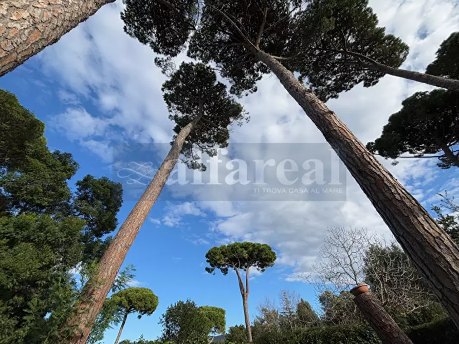 Immagine 45 di Casa bifamiliare in vendita  in Via del Fontino a Castiglione Della Pescaia