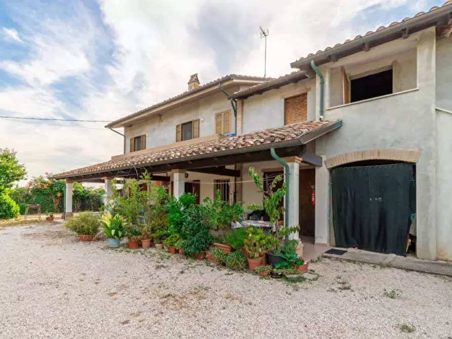 Immagine 1 di Casa indipendente in vendita  in Via Sterpettine 21 a Mondolfo