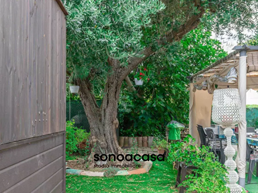 Immagine 1 di Rustico / casale in vendita  in Via Sterpettine a Mondolfo