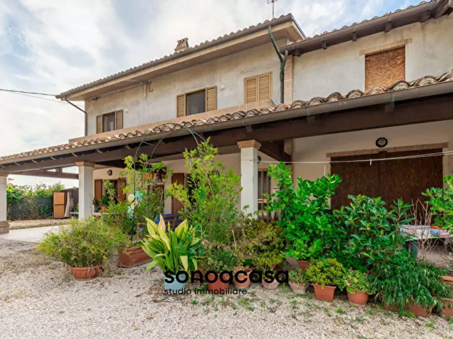 Immagine 3 di Rustico / casale in vendita  in Via Sterpettine a Mondolfo