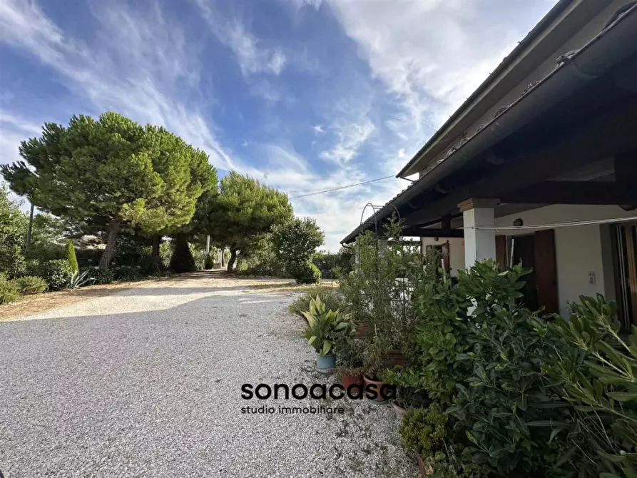 Immagine 4 di Rustico / casale in vendita  a Mondolfo