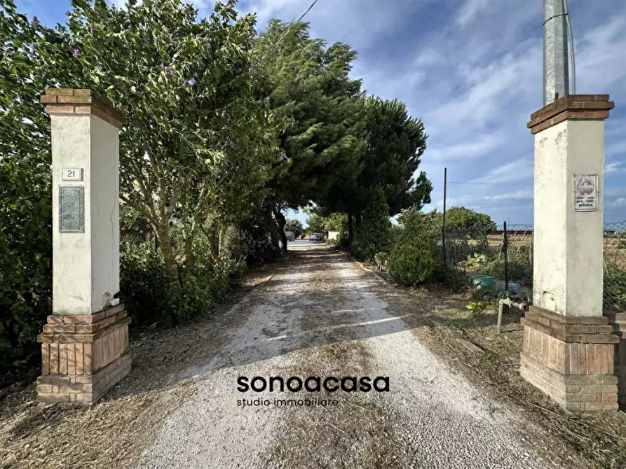 Immagine 5 di Rustico / casale in vendita  a Mondolfo