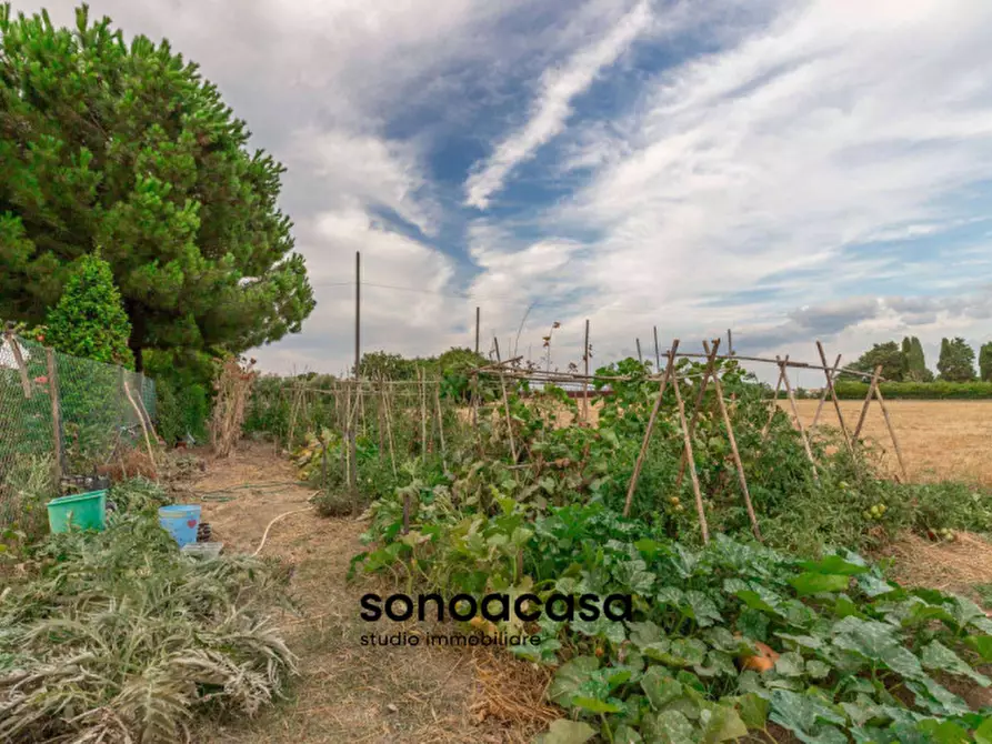 Immagine 10 di Rustico / casale in vendita  a Mondolfo