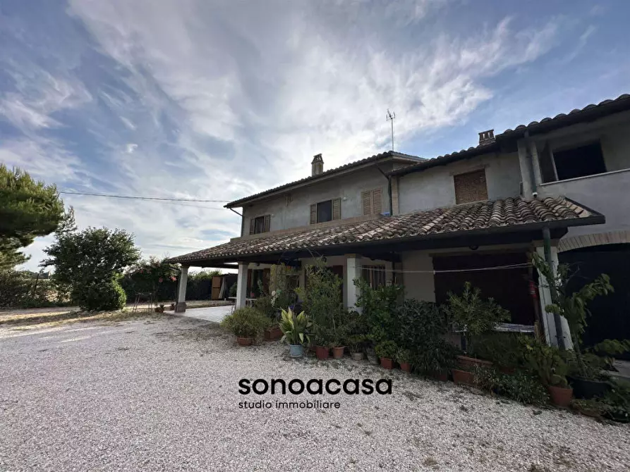 Immagine 15 di Rustico / casale in vendita  a Mondolfo