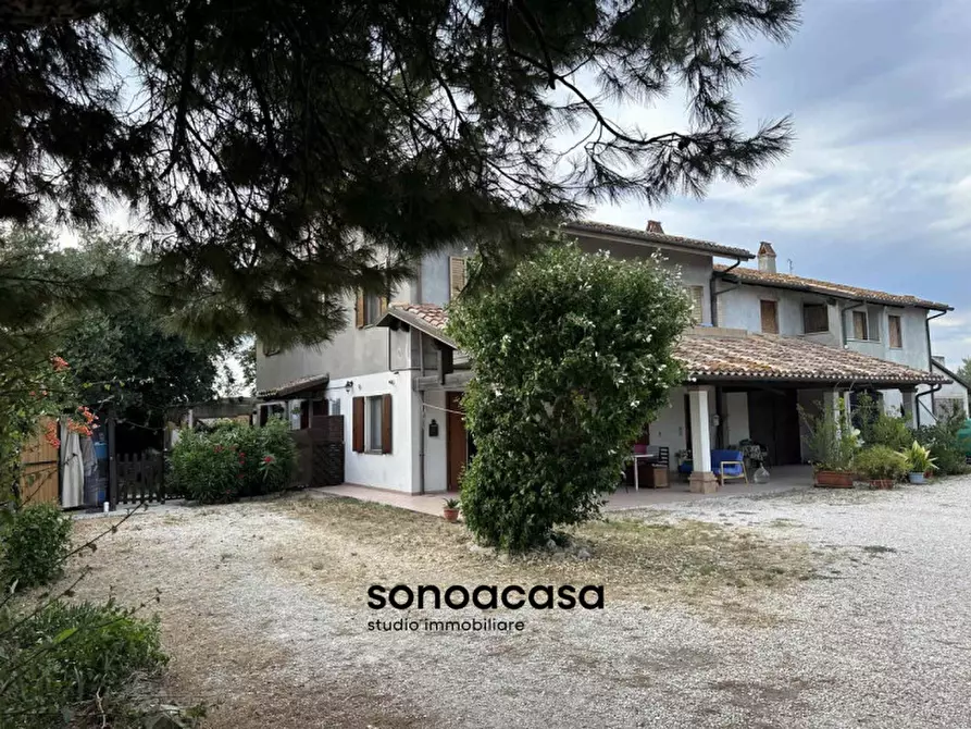 Immagine 21 di Rustico / casale in vendita  a Mondolfo