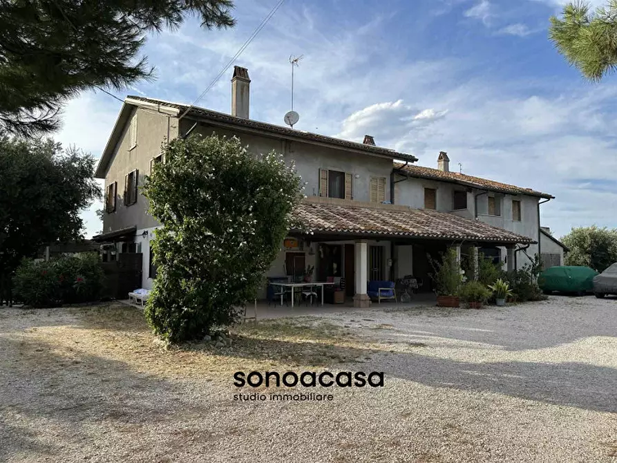 Immagine 24 di Rustico / casale in vendita  a Mondolfo