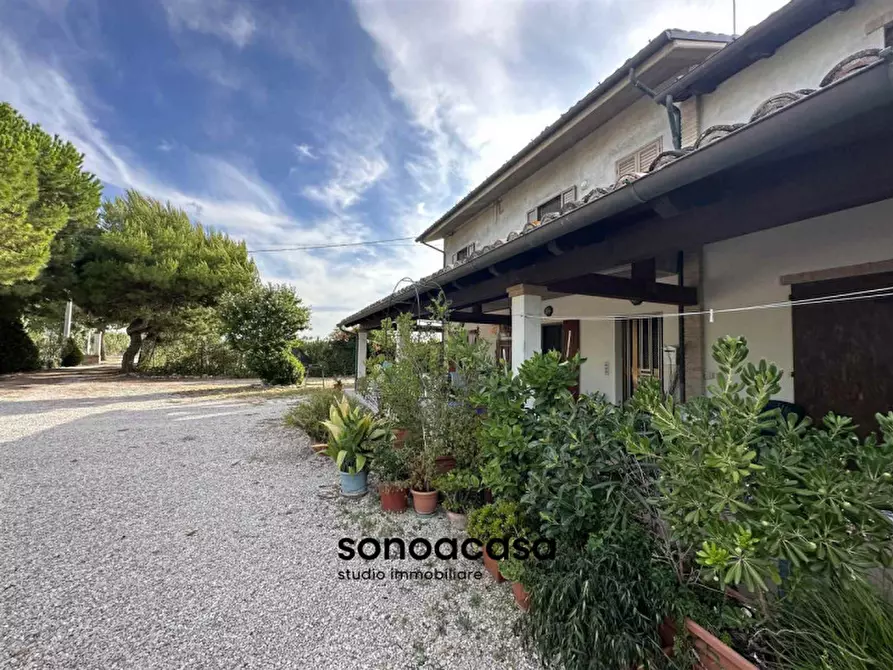 Immagine 30 di Rustico / casale in vendita  a Mondolfo