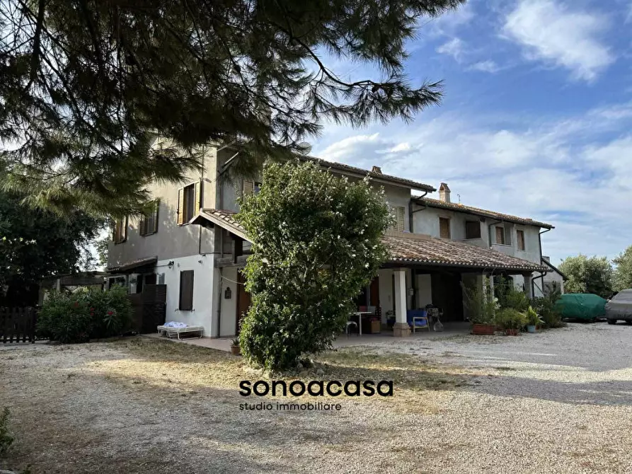 Immagine 38 di Rustico / casale in vendita  in Via Sterpettine a Mondolfo