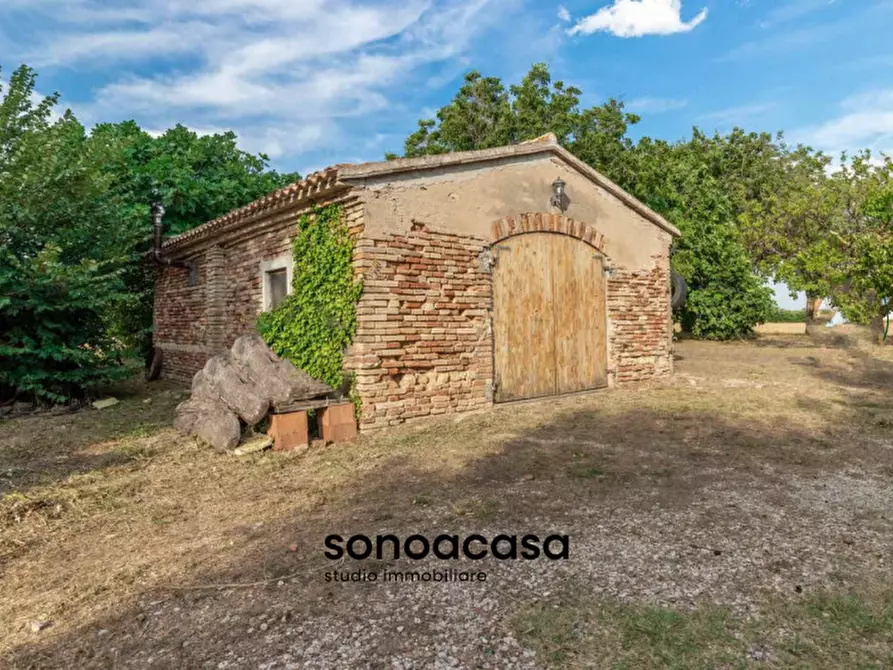 Immagine 39 di Rustico / casale in vendita  a Mondolfo