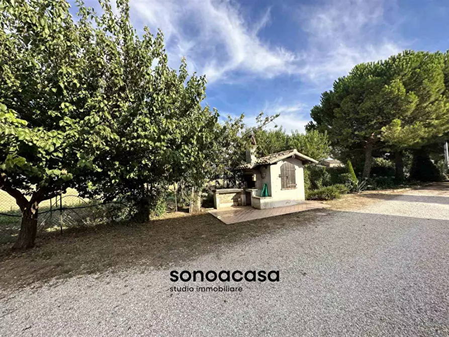 Immagine 40 di Rustico / casale in vendita  a Mondolfo