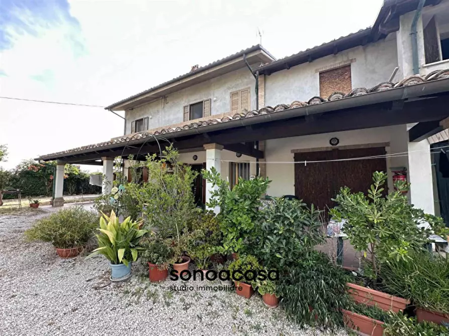 Immagine 41 di Rustico / casale in vendita  in Via Sterpettine a Mondolfo