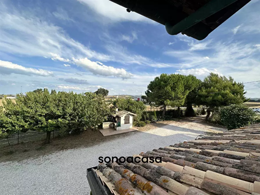 Immagine 41 di Rustico / casale in vendita  a Mondolfo