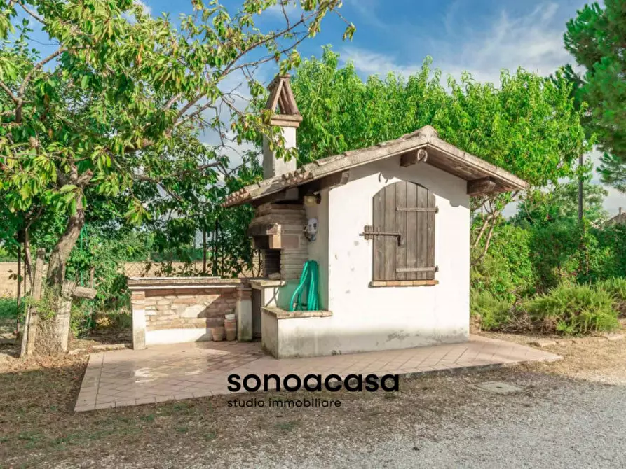 Immagine 43 di Rustico / casale in vendita  a Mondolfo