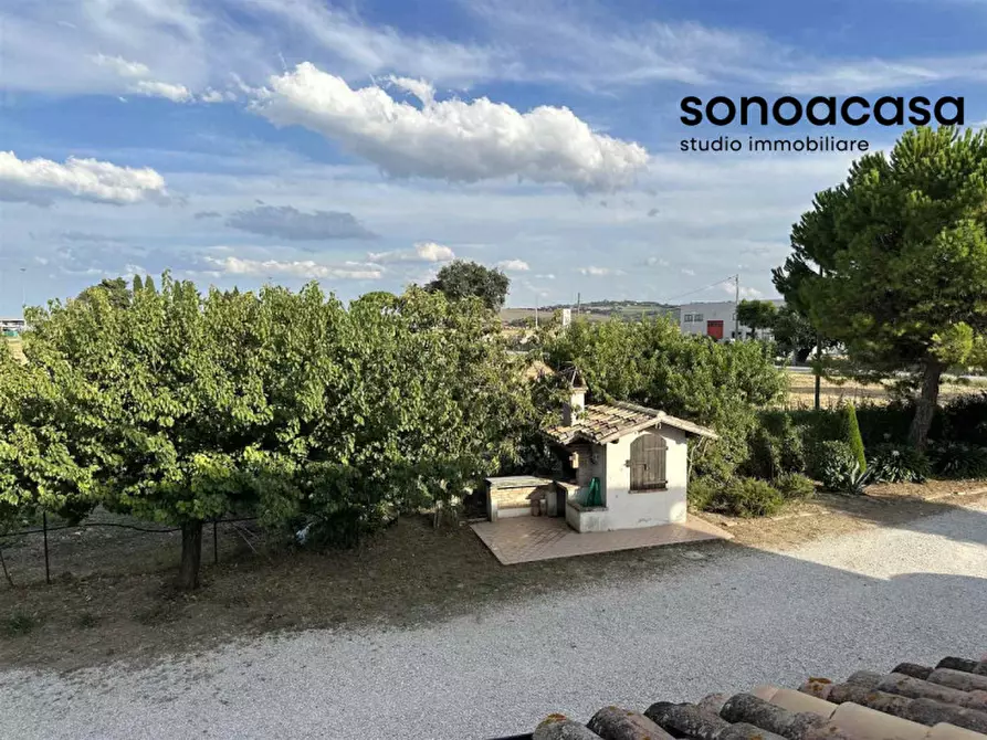 Immagine 45 di Rustico / casale in vendita  a Mondolfo