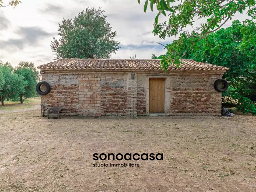 Immagine 47 di Rustico / casale in vendita  a Mondolfo