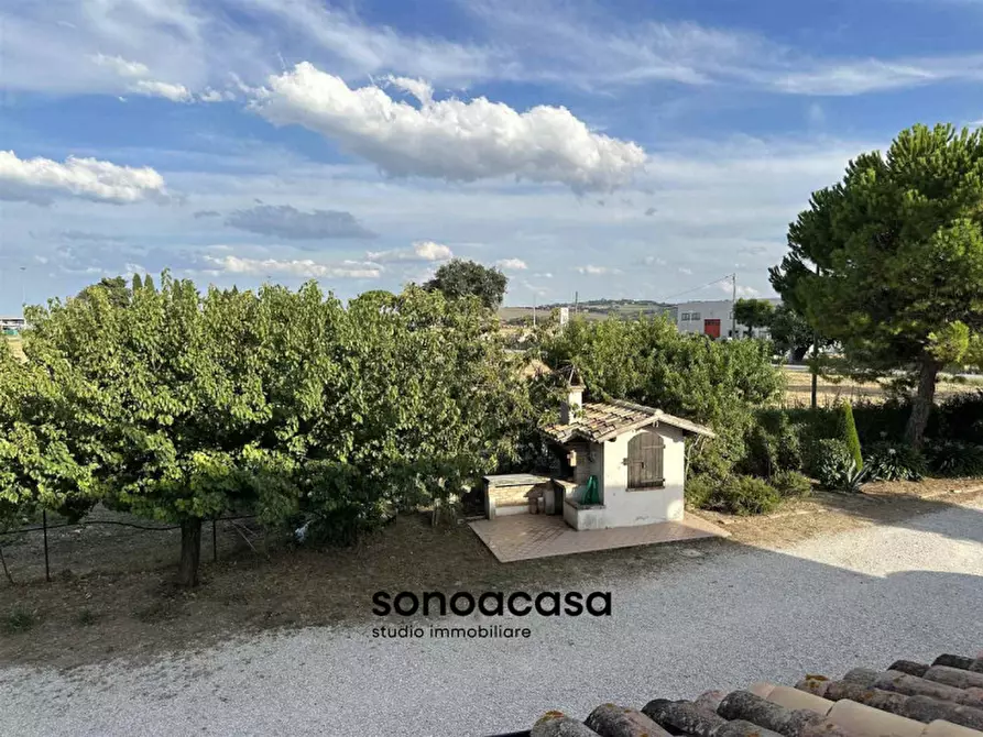 Immagine 49 di Rustico / casale in vendita  in Via Sterpettine a Mondolfo