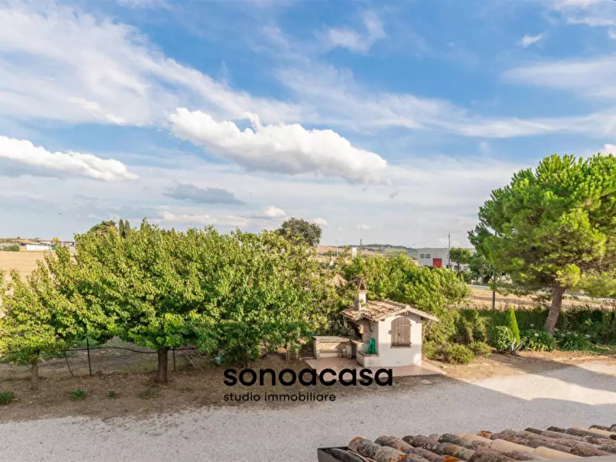 Immagine 50 di Rustico / casale in vendita  in Via Sterpettine a Mondolfo