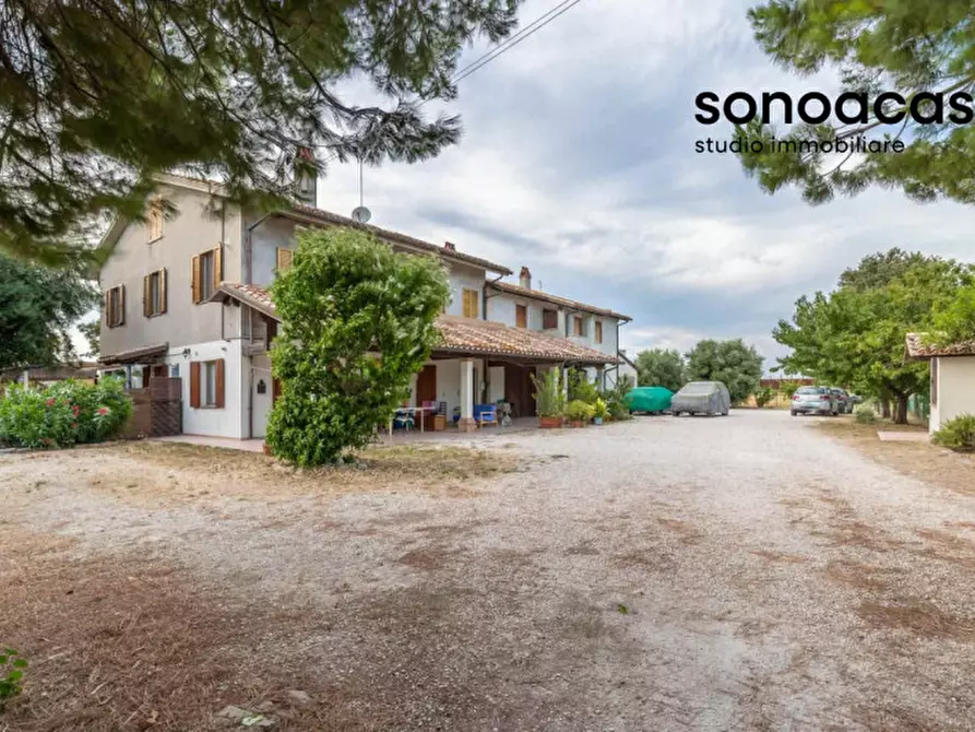 Immagine 53 di Rustico / casale in vendita  in Via Sterpettine a Mondolfo