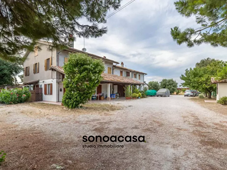 Immagine 55 di Rustico / casale in vendita  a Mondolfo