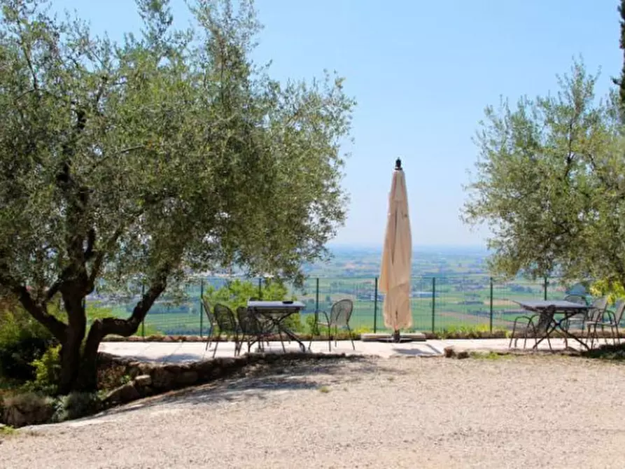 Immagine 2 di Agriturismo in vendita  in Via Commenda a Villaga