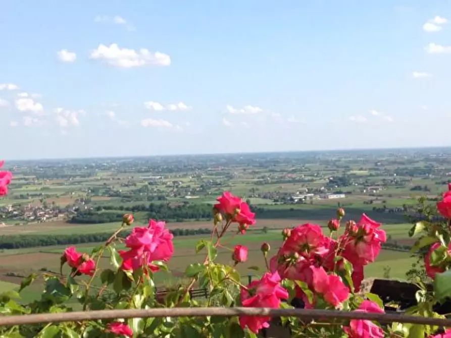 Immagine 3 di Agriturismo in vendita  in Via Commenda a Villaga