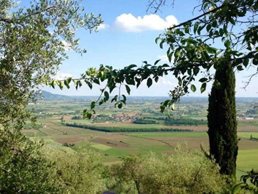 Immagine 4 di Agriturismo in vendita  in Via Commenda a Villaga