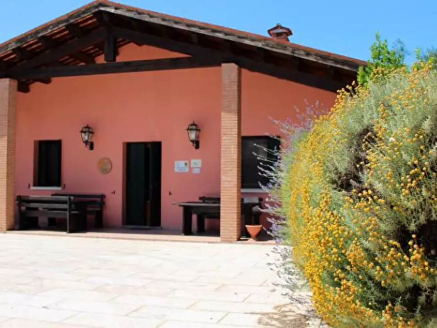 Immagine 6 di Agriturismo in vendita  in Via Commenda a Villaga