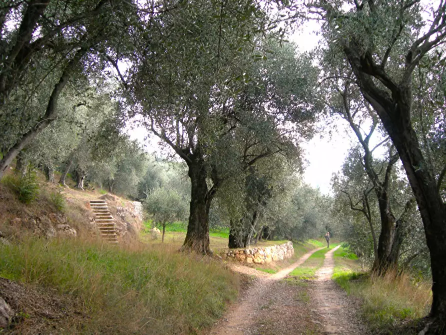 Immagine 11 di Agriturismo in vendita  in Via Commenda a Villaga