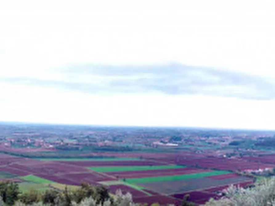 Immagine 12 di Agriturismo in vendita  in Via Commenda a Villaga