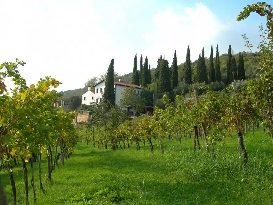 Immagine 14 di Agriturismo in vendita  in Via Commenda a Villaga