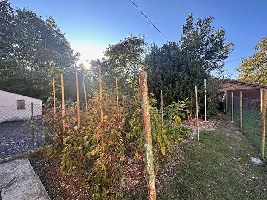 Immagine 21 di Casa bifamiliare in vendita  in Via Roma 22 a Frontone